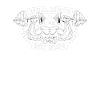 Musculation, Powerlifting, Haltérophilie, Fitness