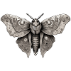 Moth / animal / insect / larva / pest