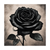 Schwarze Rose Kunstbild