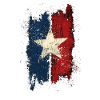 Grunge Texas