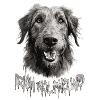 Irish Wolfhound Dog Motif