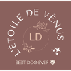 L'étoile de Vénus ✨