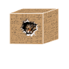 Meanwhile Inside The Box