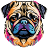 Pug