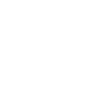 Année du Dragon 2024