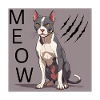 Angry Cat