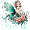 Fairy Godmother Gift