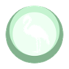 Flamingos Exotic Waterfowl