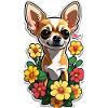 Chihuahua with flowers