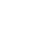 Bodybuilder