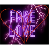 Fake Love