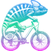 Cycling Chameleon