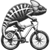 Cycling Chameleon