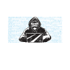 Hakerzy bezpieczeństwa cybernetycznego