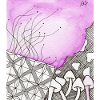 Confusion 38