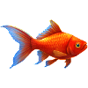 Goldfisch Nr.4