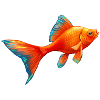 Goldfisch Nr.1