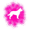 German Shepherd – Loyal Companion