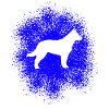 German Shepherd – Loyal Companion