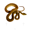 Teppich Python Modern Streetwear Reptilienpfleger