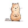 Cute chubby beaver