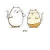 Chubby cat friends