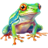 Wasserfarbe Frosch