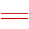 1993 Limited Edition