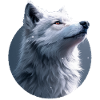 White Wolf Illustration