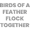 Birds of a feather flock together