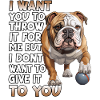 English Bulldog Dog Lovers Bulldogs