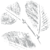 Leaves Pattern
