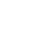 1930 - 94e anniversaire légendaire