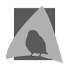 Bird Watching Flying Bird Illustration