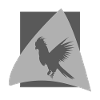 Parrot Macaw Macaw