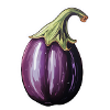 Aubergine bulbous