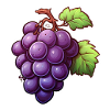 Grapevines blue