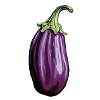 Aubergine elongated