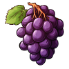Grapevines dark