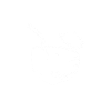 Jeu d’eau de fort