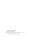 respectez les gros