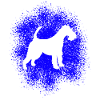 Drahthaar-Foxterrier für Hundeliebhaber