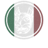Rooman historia Susi Rooma Italia Antiikki