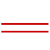 1999 Limited Edition