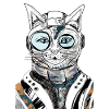 ASTRONAUT CAT