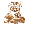 American Bully Cool