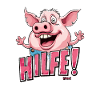 Little pig needs help