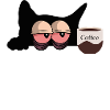Coffee Cat