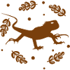 Salamander - Amphibian Animal