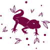 Salamander - Amphibian Animal